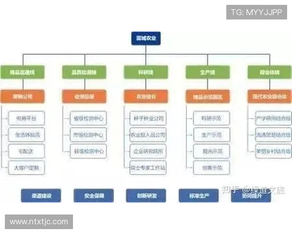 上海乒乓球队运营模式解析与发展趋势探讨 上海乒乓球队运营模式解析与发展趋势探讨