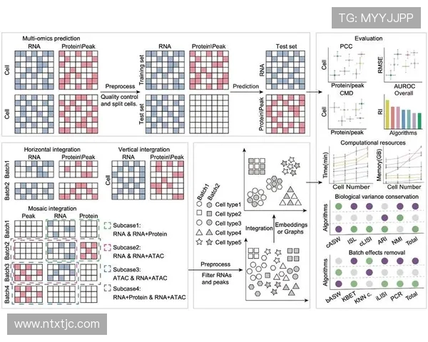 RNG在挑战者杯中的团队配合分析与表现评估 RNG在挑战者杯中的团队配合分析与表现评估