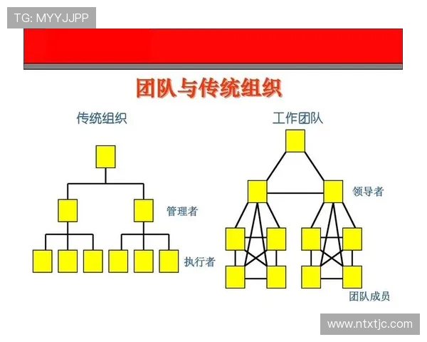 北京飞盘队团队协作表现的深入数据分析与探讨 北京飞盘队团队协作表现的深入数据分析与探讨