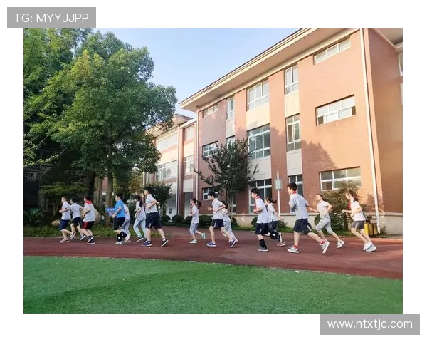 南京排球队的力量揭秘:从训练到比赛的全景探索与背后故事 南京排球队的力量揭秘:从训练到比赛的全景探索与背后故事