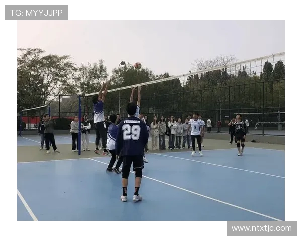 广州排球队的团队协作之道：探索排球运动中的默契与配合技巧