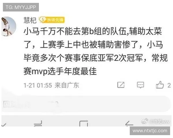 王者荣耀评论分析JDG战队在控制方面的优缺点与战术调整建议