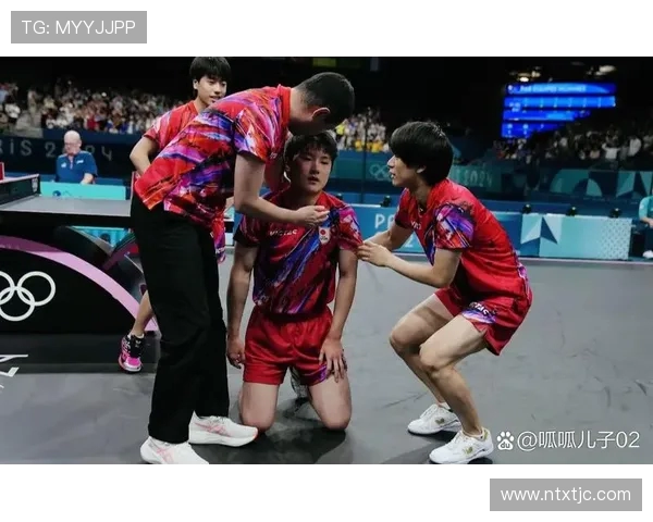 杭州乒乓球队实力分析及其在国内外比赛中的表现评估 杭州乒乓球队实力分析及其在国内外比赛中的表现评估