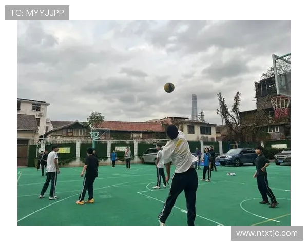 武汉排球队最新排球意识排名第一引领潮流TOP10解析