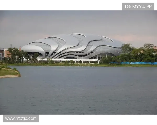 广州极限运动队的转型之路与未来发展趋势解析