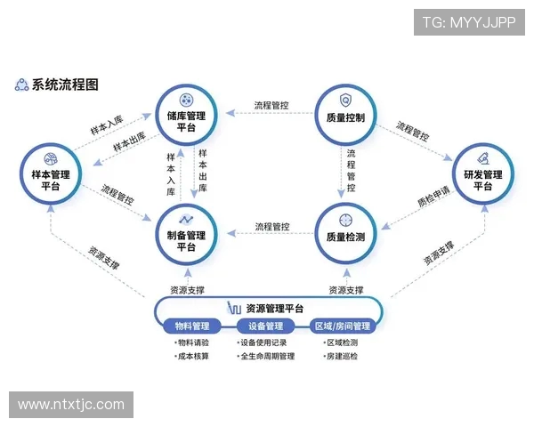 成都乒乓球队区域防守革新之路探索与实践分析