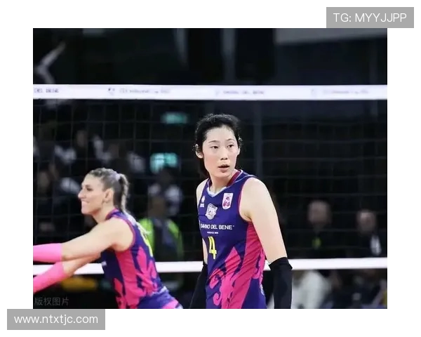 成都排球队实力强劲荣登全国排球个人能力排行榜第三名