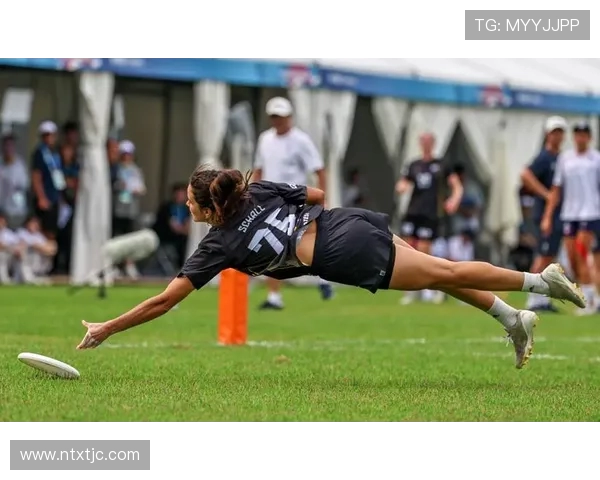 成都飞盘队逆袭之旅揭秘马拉松大满贯背后的拼搏与坚持